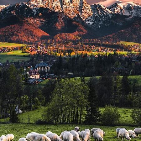 Villa Jumper Widok Na Cale Tatry Lazienka Nie Jest W Pokoju Закопане Екстер'єр фото
