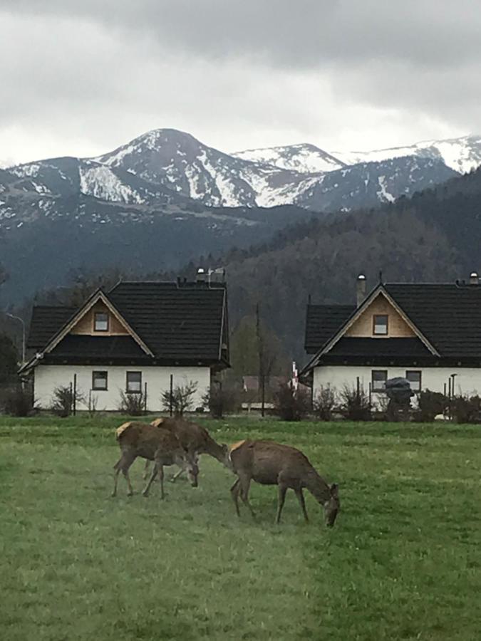 Villa Jumper Widok Na Cale Tatry Lazienka Nie Jest W Pokoju Закопане Екстер'єр фото