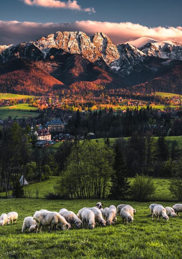 Villa Jumper Widok Na Cale Tatry Lazienka Nie Jest W Pokoju Закопане Екстер'єр фото